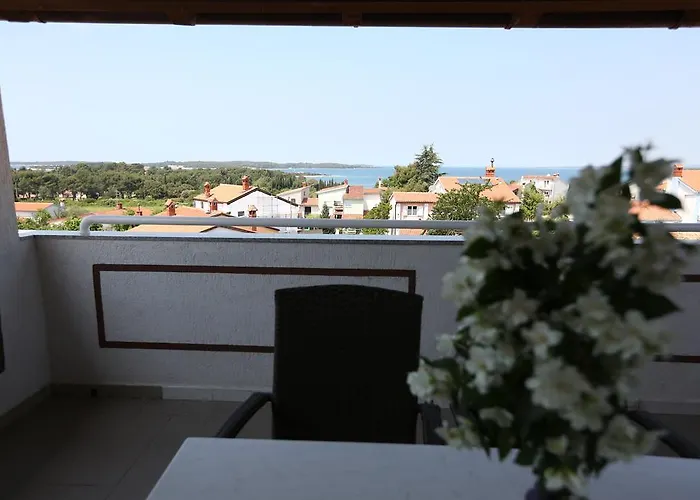 Apartment Sasha Pula