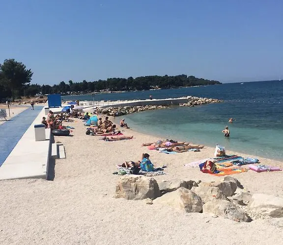 Sasha * Pula