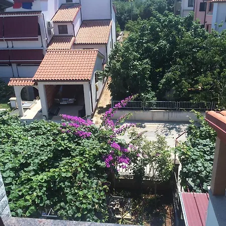 Apartment Sasha