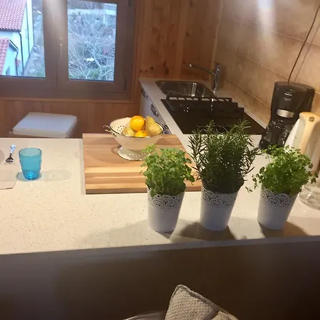 Apartment Sasha