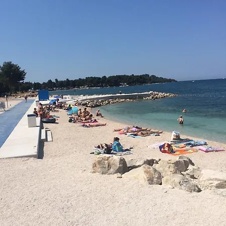 Sasha * Pula